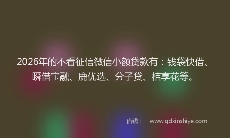 2026年的不看征信微信小额贷款有：钱袋快借、瞬借宝融、鹿优选、分子贷、桔享花等。