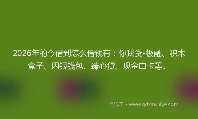 2026年的今借到怎么借钱有：你我贷-极融、积木盒子、闪银钱包、臻心贷、现金白卡等。