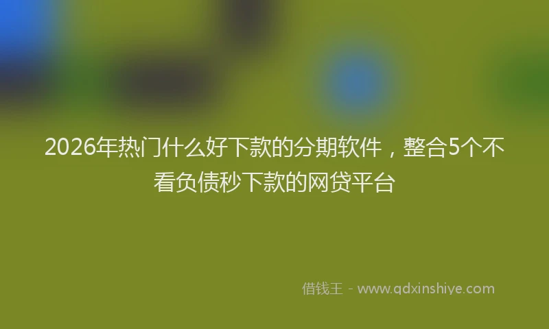 2026年热门什么好下款的分期软件，整合5个不看负债秒下款的网贷平台