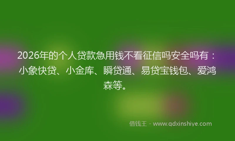 2026年的个人贷款急用钱不看征信吗安全吗有：小象快贷、小金库、瞬贷通、易贷宝钱包、爱鸿森等。