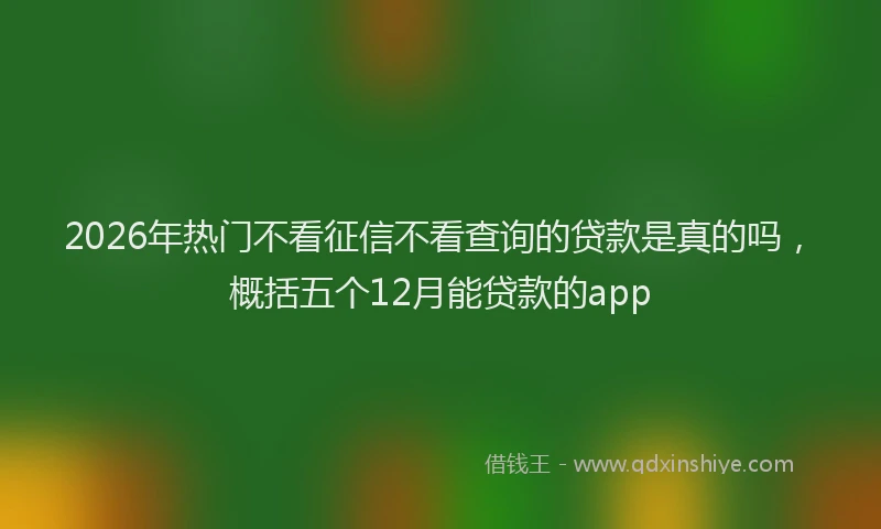 2026年热门不看征信不看查询的贷款是真的吗，概括五个12月能贷款的app