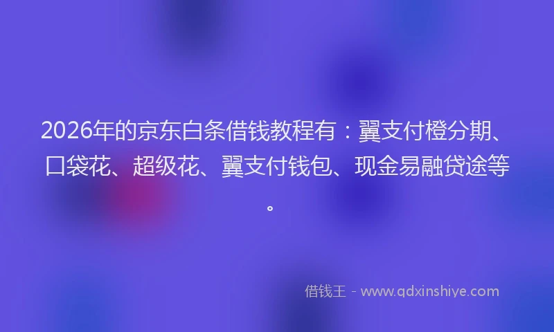 2026年的京东白条借钱教程有：翼支付橙分期、口袋花、超级花、翼支付钱包、现金易融贷途等。