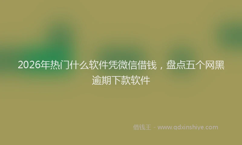 2026年热门什么软件凭微信借钱，盘点五个网黑逾期下款软件