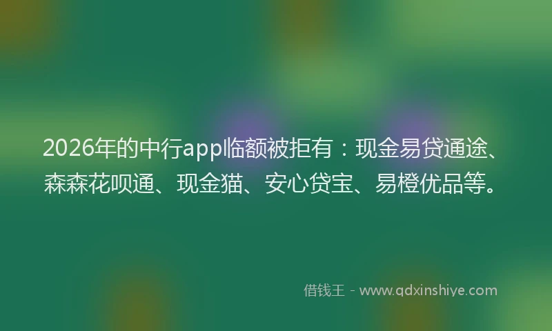 2026年的中行app临额被拒有：现金易贷通途、森森花呗通、现金猫、安心贷宝、易橙优品等。
