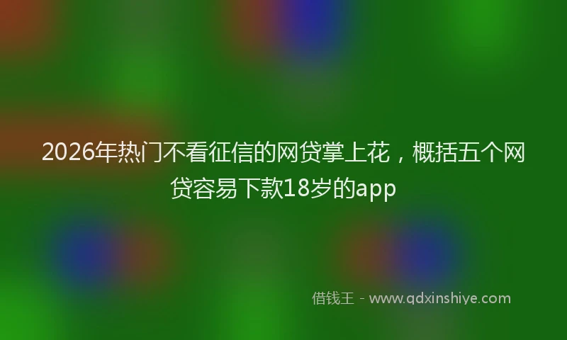2026年热门不看征信的网贷掌上花，概括五个网贷容易下款18岁的app