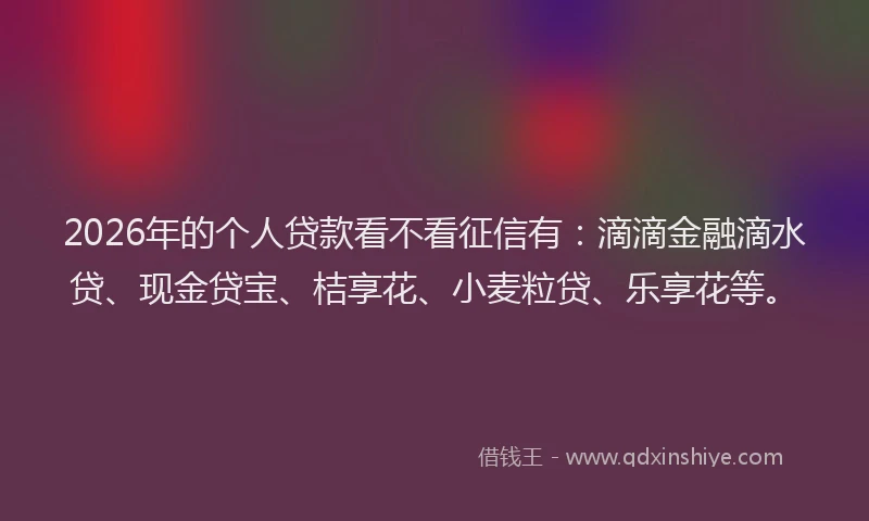 2026年的个人贷款看不看征信有：滴滴金融滴水贷、现金贷宝、桔享花、小麦粒贷、乐享花等。