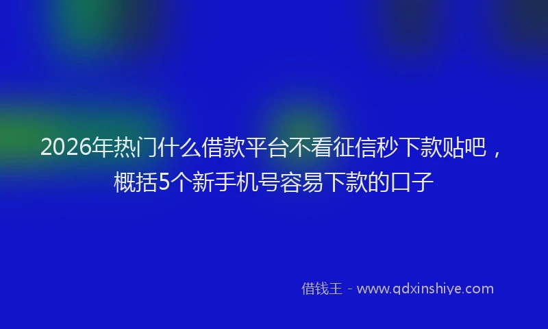 2026年热门什么借款平台不看征信秒下款贴吧，概括5个新手机号容易下款的口子