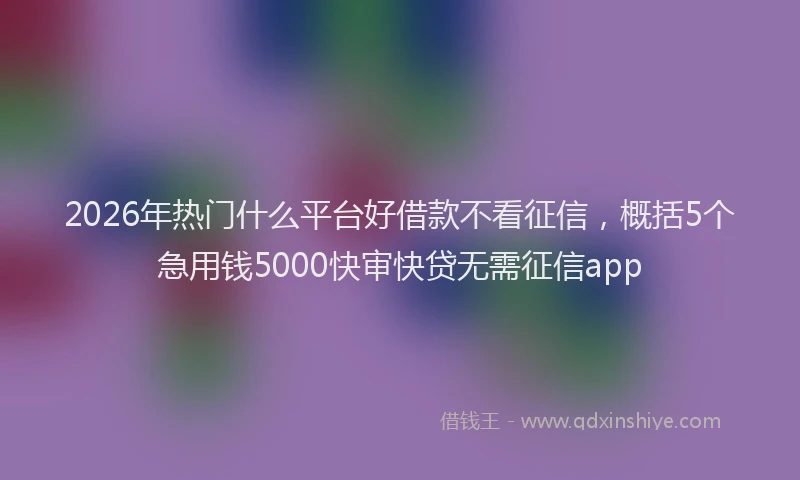 2026年热门什么平台好借款不看征信，概括5个急用钱5000快审快贷无需征信app
