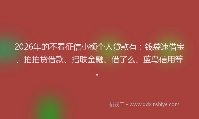 2026年的不看征信小额个人贷款有：钱袋速借宝、拍拍贷借款、招联金融、借了么、蓝鸟信用等。