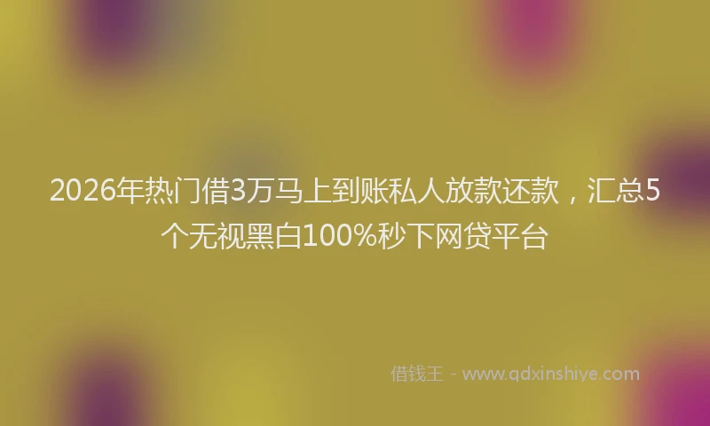 2026年热门借3万马上到账私人放款还款，汇总5个无视黑白100%秒下网贷平台