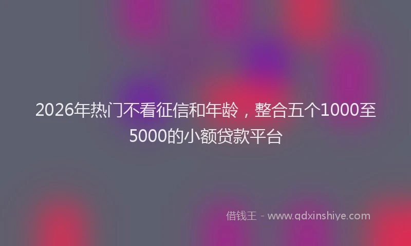 2026年热门不看征信和年龄，整合五个1000至5000的小额贷款平台
