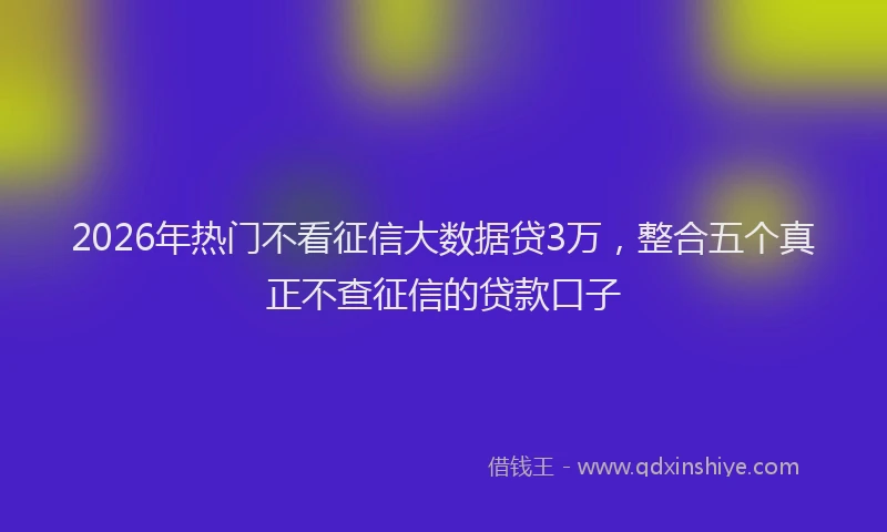 2026年热门不看征信大数据贷3万，整合五个真正不查征信的贷款口子