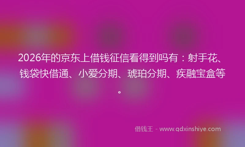 2026年的京东上借钱征信看得到吗有：射手花、钱袋快借通、小爱分期、琥珀分期、疾融宝盒等。