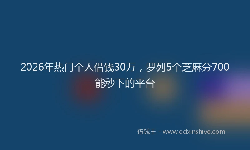 2026年热门个人借钱30万，罗列5个芝麻分700能秒下的平台