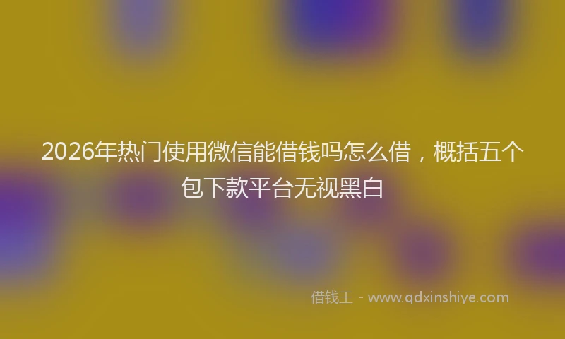 2026年热门使用微信能借钱吗怎么借，概括五个包下款平台无视黑白