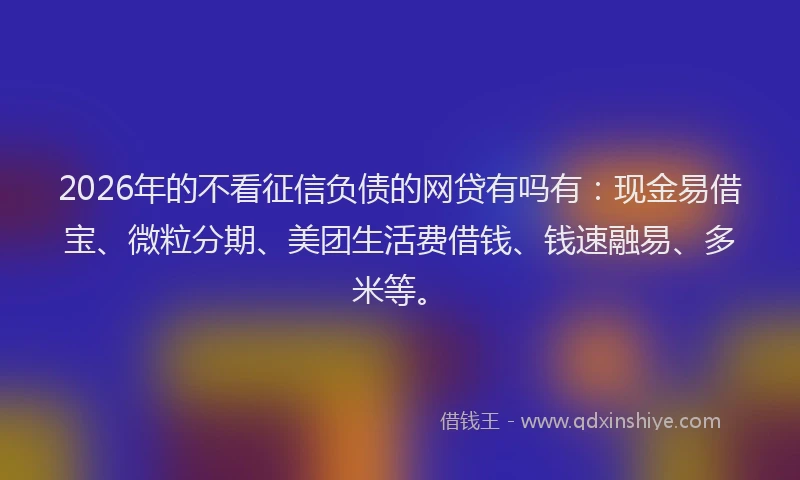 2026年的不看征信负债的网贷有吗有：现金易借宝、微粒分期、美团生活费借钱、钱速融易、多米等。