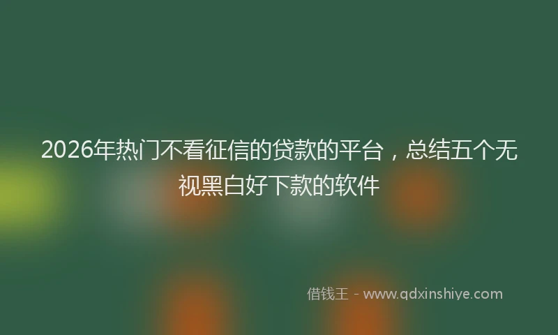 2026年热门不看征信的贷款的平台，总结五个无视黑白好下款的软件