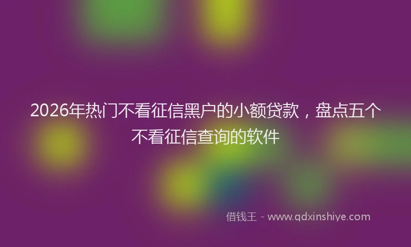 2026年热门不看征信黑户的小额贷款，盘点五个不看征信查询的软件