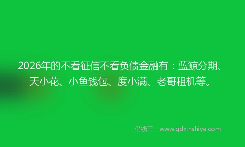 2026年的不看征信不看负债金融有：蓝鲸分期、天小花、小鱼钱包、度小满、老哥租机等。