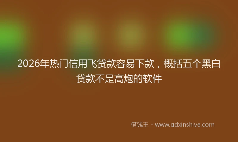 2026年热门信用飞贷款容易下款，概括五个黑白贷款不是高炮的软件