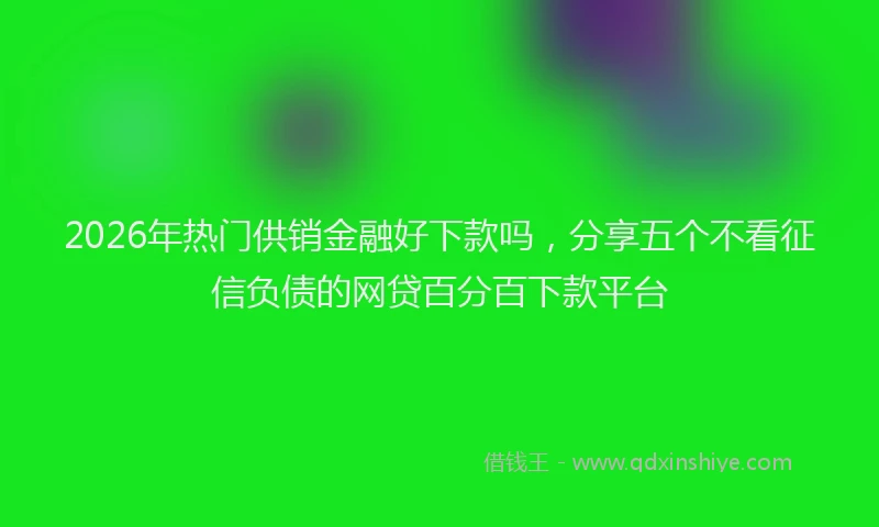 2026年热门供销金融好下款吗，分享五个不看征信负债的网贷百分百下款平台