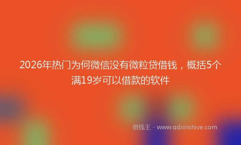2026年热门为何微信没有微粒贷借钱，概括5个满19岁可以借款的软件