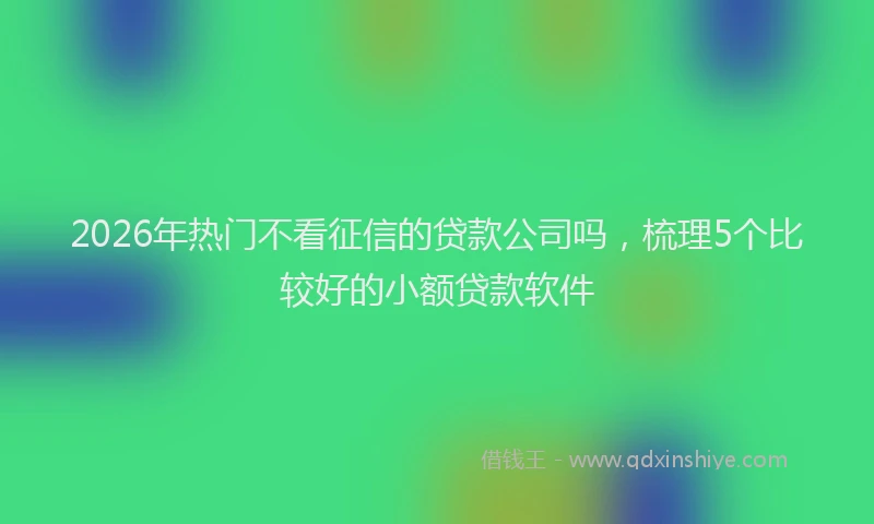 2026年热门不看征信的贷款公司吗，梳理5个比较好的小额贷款软件