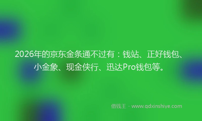 2026年的京东金条通不过有：钱站、正好钱包、小金象、现金侠行、迅达Pro钱包等。