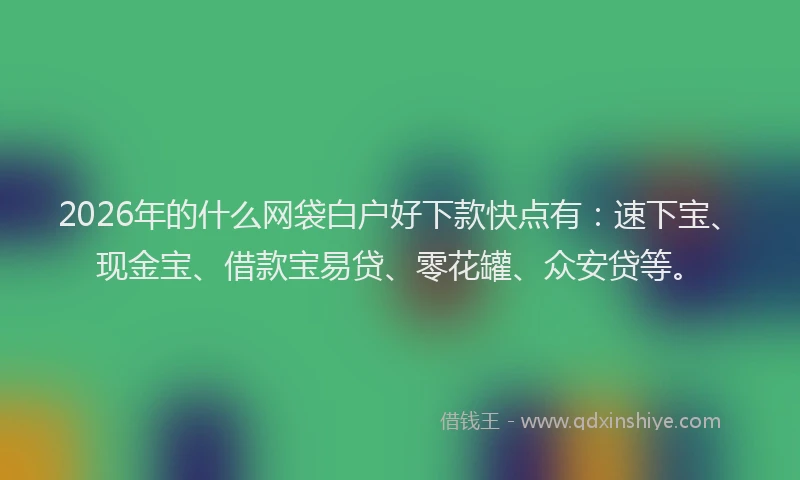 2026年的什么网袋白户好下款快点有：速下宝、现金宝、借款宝易贷、零花罐、众安贷等。