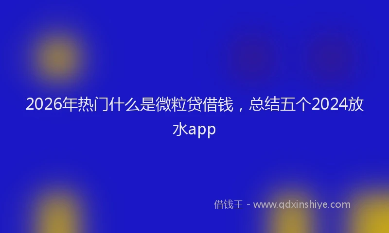 2026年热门什么是微粒贷借钱，总结五个2024放水app