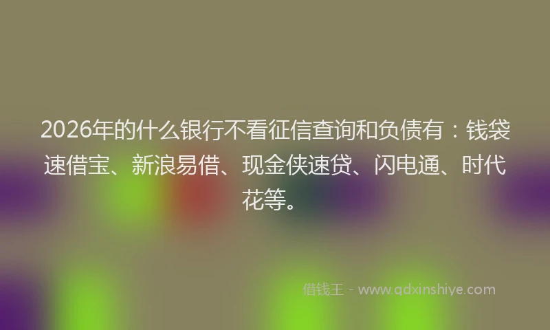 2026年的什么银行不看征信查询和负债有：钱袋速借宝、新浪易借、现金侠速贷、闪电通、时代花等。