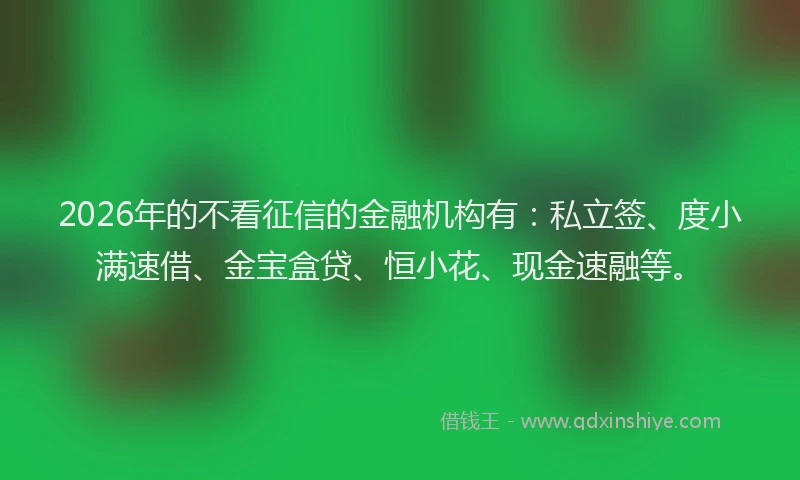 2026年的不看征信的金融机构有：私立签、度小满速借、金宝盒贷、恒小花、现金速融等。