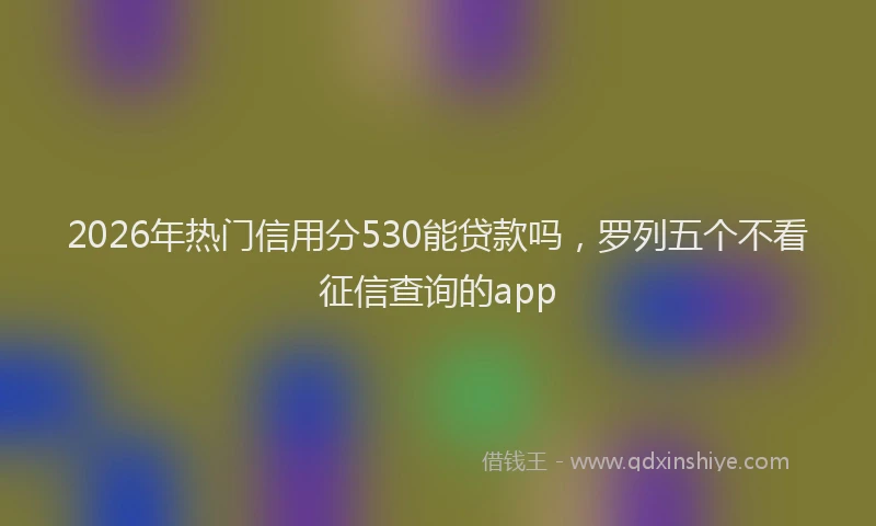 2026年热门信用分530能贷款吗，罗列五个不看征信查询的app