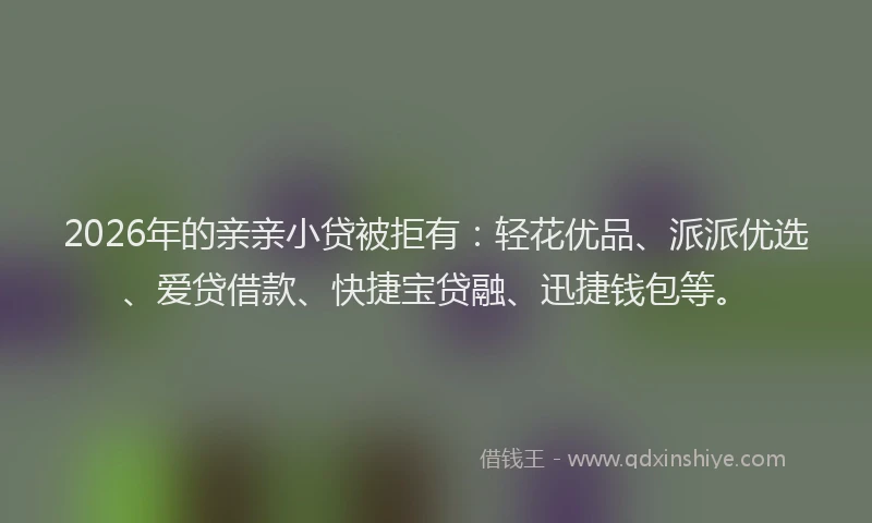 2026年的亲亲小贷被拒有：轻花优品、派派优选、爱贷借款、快捷宝贷融、迅捷钱包等。