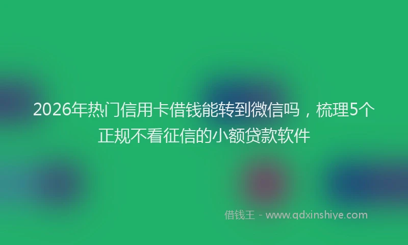 2026年热门信用卡借钱能转到微信吗，梳理5个正规不看征信的小额贷款软件