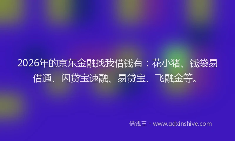 2026年的京东金融找我借钱有：花小猪、钱袋易借通、闪贷宝速融、易贷宝、飞融金等。