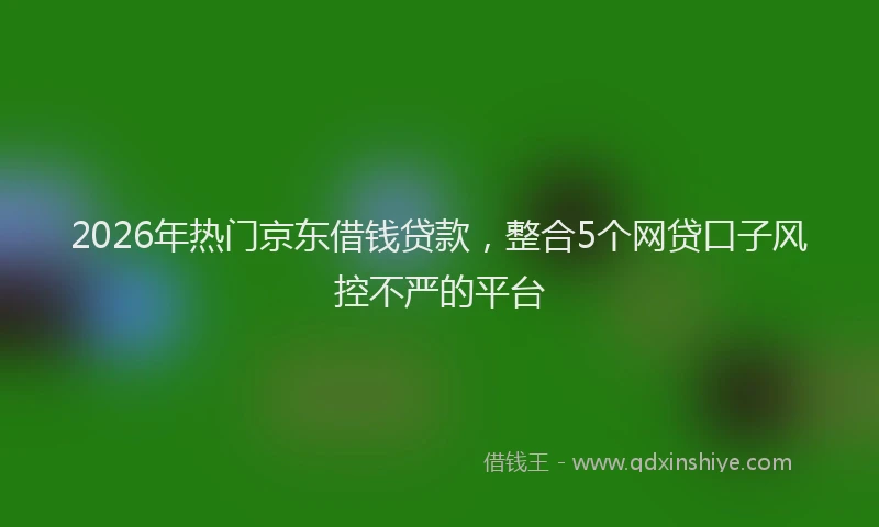 2026年热门京东借钱贷款，整合5个网贷口子风控不严的平台