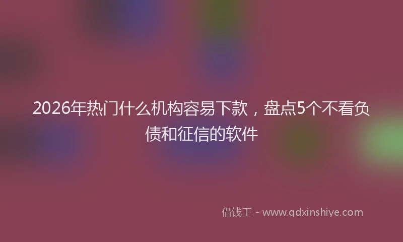 2026年热门什么机构容易下款，盘点5个不看负债和征信的软件