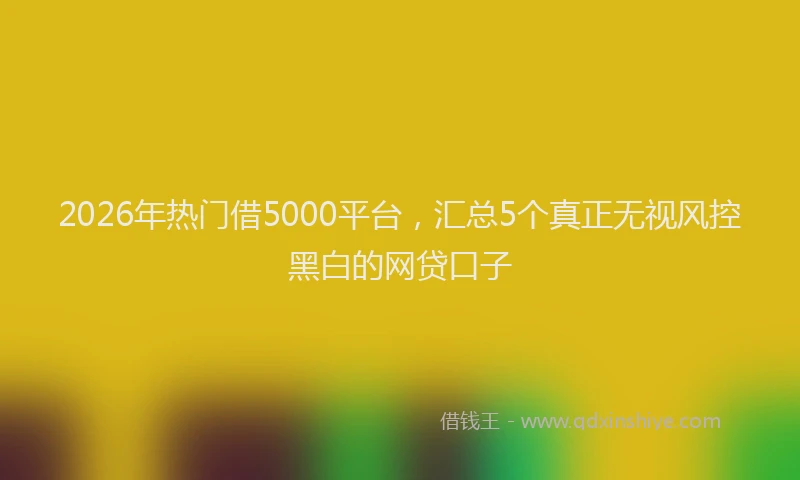 2026年热门借5000平台，汇总5个真正无视风控黑白的网贷口子