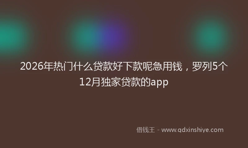 2026年热门什么贷款好下款呢急用钱，罗列5个12月独家贷款的app