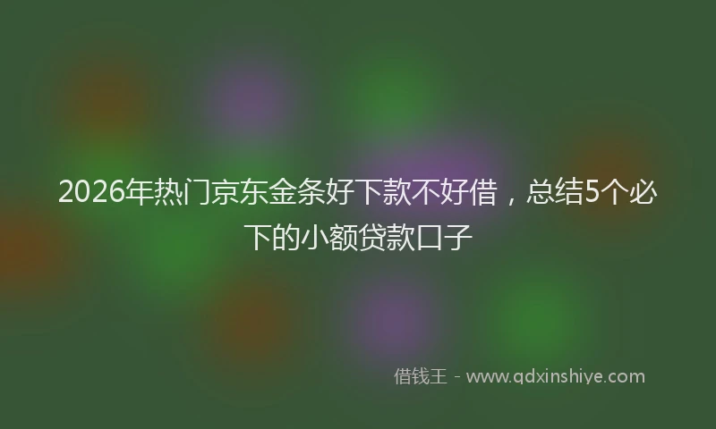 2026年热门京东金条好下款不好借，总结5个必下的小额贷款口子