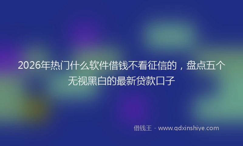 2026年热门什么软件借钱不看征信的，盘点五个无视黑白的最新贷款口子