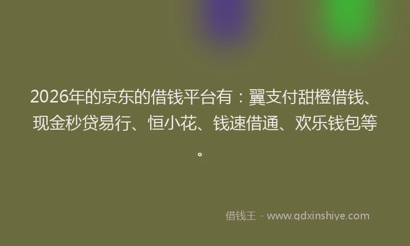 2026年的京东的借钱平台有：翼支付甜橙借钱、现金秒贷易行、恒小花、钱速借通、欢乐钱包等。