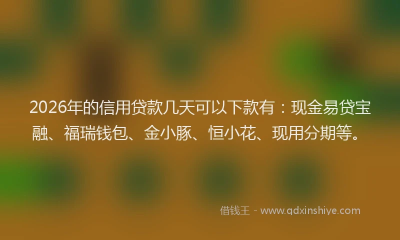 2026年的信用贷款几天可以下款有：现金易贷宝融、福瑞钱包、金小豚、恒小花、现用分期等。
