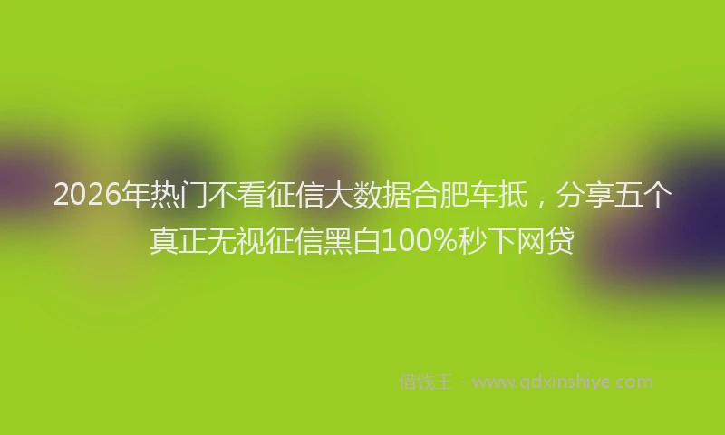 2026年热门不看征信大数据合肥车抵，分享五个真正无视征信黑白100%秒下网贷