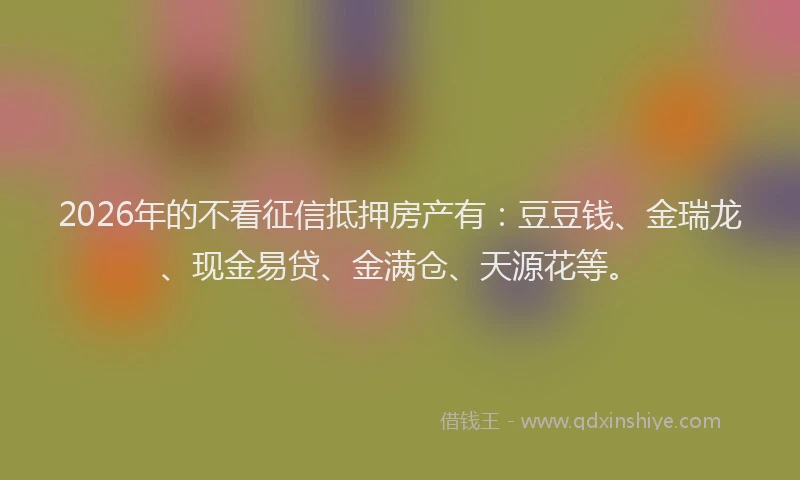 2026年的不看征信抵押房产有：豆豆钱、金瑞龙、现金易贷、金满仓、天源花等。