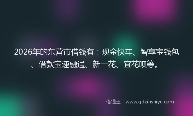 2026年的东营市借钱有：现金快车、智享宝钱包、借款宝速融通、新一花、宜花呗等。