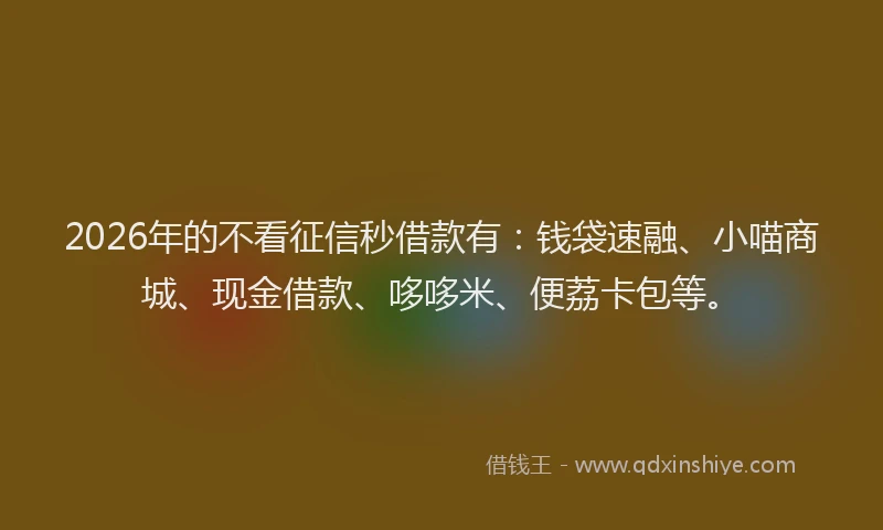 2026年的不看征信秒借款有：钱袋速融、小喵商城、现金借款、哆哆米、便荔卡包等。
