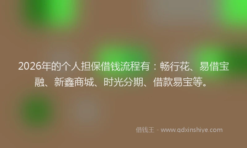 2026年的个人担保借钱流程有：畅行花、易借宝融、新鑫商城、时光分期、借款易宝等。