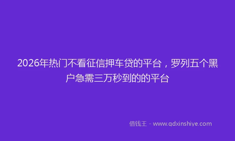 2026年热门不看征信押车贷的平台，罗列五个黑户急需三万秒到的的平台